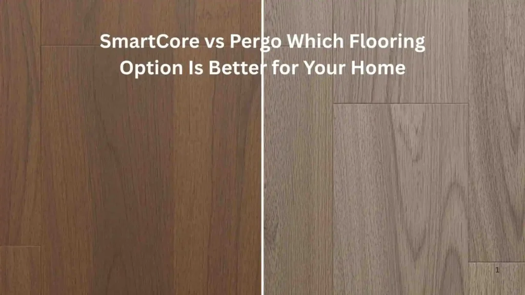 Which One Should You Choose?