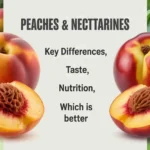 Peach vs Nectarine